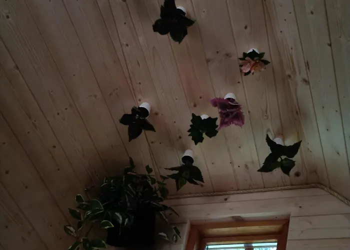 Les Refuges Du Campingplads